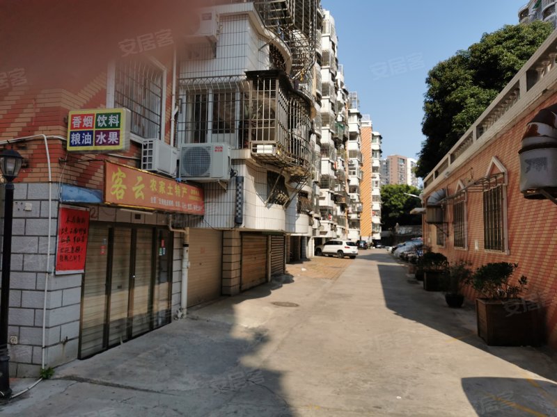 金枫园,东浦路6-12号-厦门金枫园二手房,租房,房价-厦门安居客