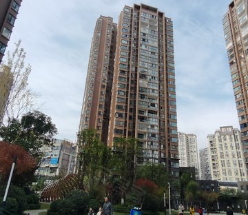 樊华似锦绽放四期