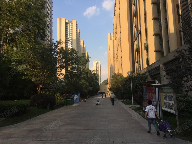 中天会展城b区b5组团,金朱东路-贵阳中天会展城b区b5组团二手房,租房
