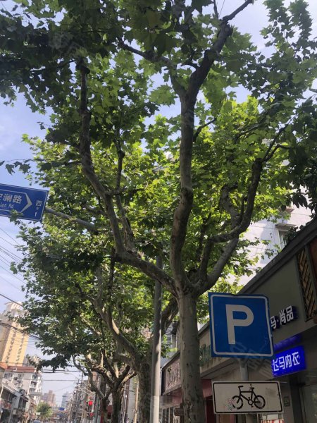 中华路1300弄,华路1300弄-上海中华路1300弄二手房,租房,房价-上海