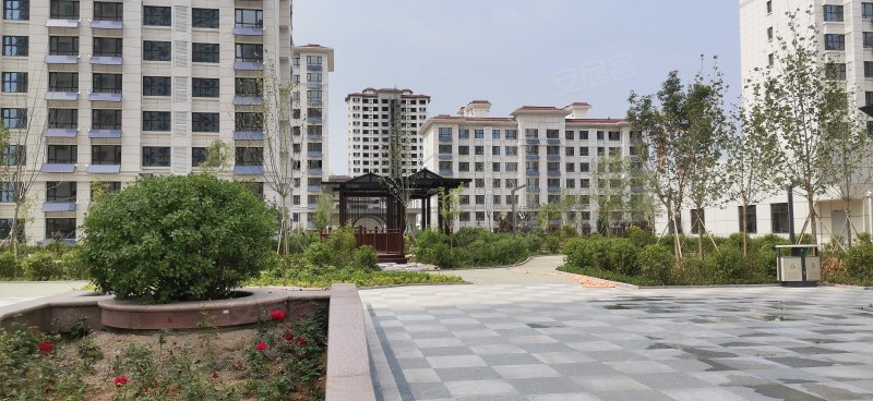 兴桐鑫城,251省道-秦皇岛兴桐鑫城二手房,租房,房价-秦皇岛安居客