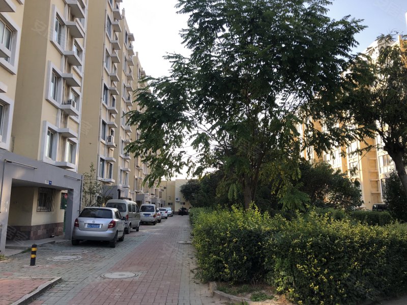 金色家园(一区)