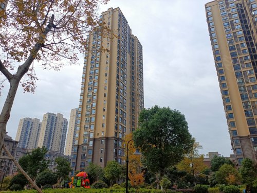 枝江公园里