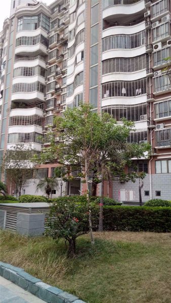 滨江花园城e区,金洲街13号-泉州滨江花园城e区二手房,租房,房价-泉州