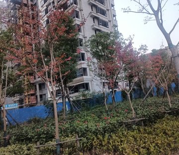 中梁力高云湖印