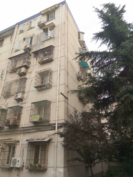 洛场路250弄小区