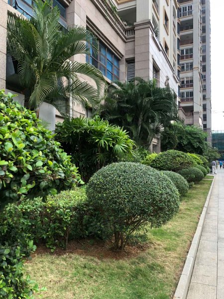 御景豪庭,明园路3号-湛江御景豪庭二手房,租房,房价-湛江安居客