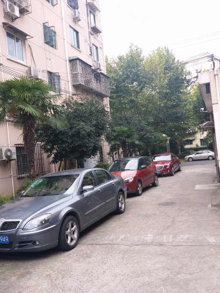 巨野路109弄小区 