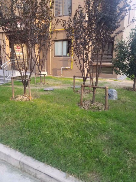 练祁佳城盛蔷坊 