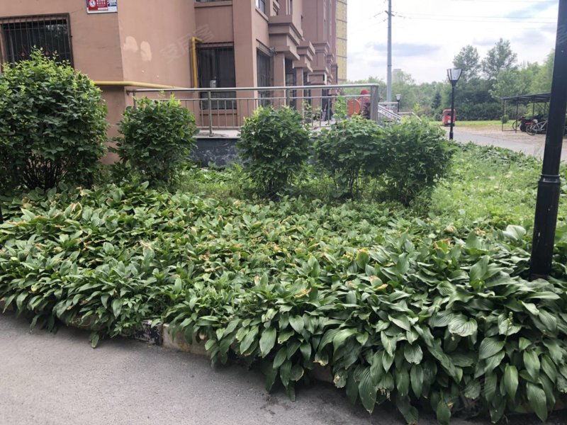 河畔花园,木材东街-哈尔滨河畔花园二手房,租房,房价-哈尔滨安居客