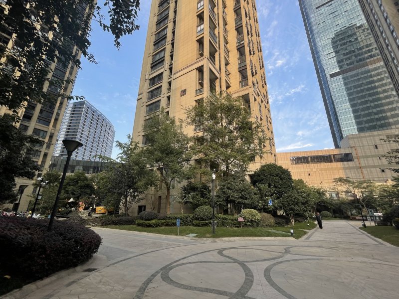 理想银泰城(公寓住宅),世纪大道118号-杭州理想银泰城(公寓住宅)二手