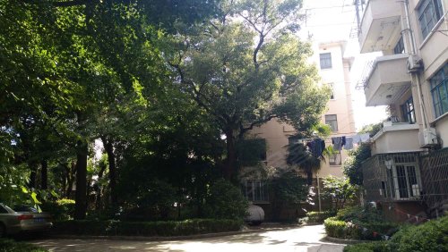 康平路100弄小区