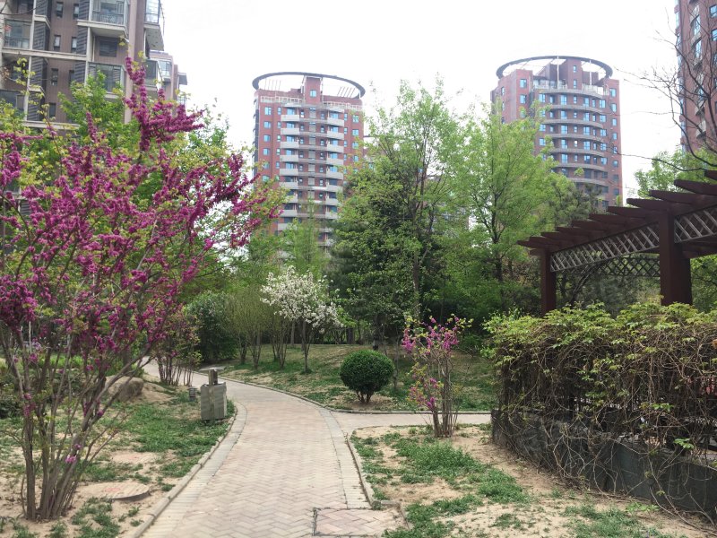 天一城(北区),凤麟街-邢台天一城(北区)二手房,租房,房价-邢台安居客