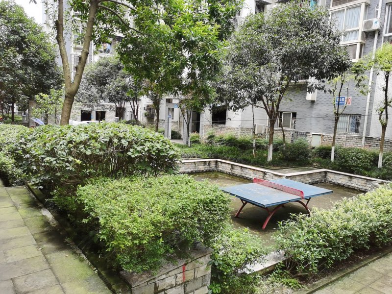 名仕居,西华路二段271号-南充名仕居二手房,租房,房价-南充安居客