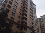 装修豪华保养好 近地铁 有电梯 交通便利 商圈成熟 正南朝向,华府樟园