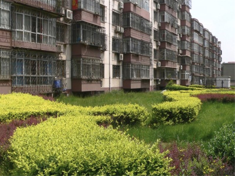 幸福花园(路北)