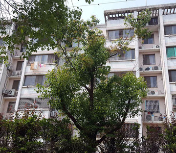 泰元家园(东区)