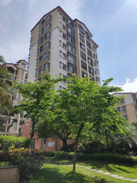 大洋红树湾一期,长贵西街-汕头大洋红树湾一期二手房,租房,房价-汕头