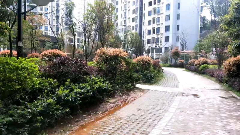 金碧花园,太子路-株洲金碧花园二手房,租房,房价-株洲安居客