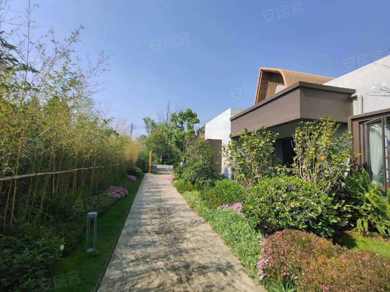 实地昆明花鹤翎