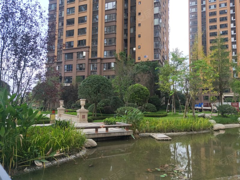 鸿通凤凰国际,三苏路,近瑞祥路-乐山鸿通凤凰国际二手房,租房,房价