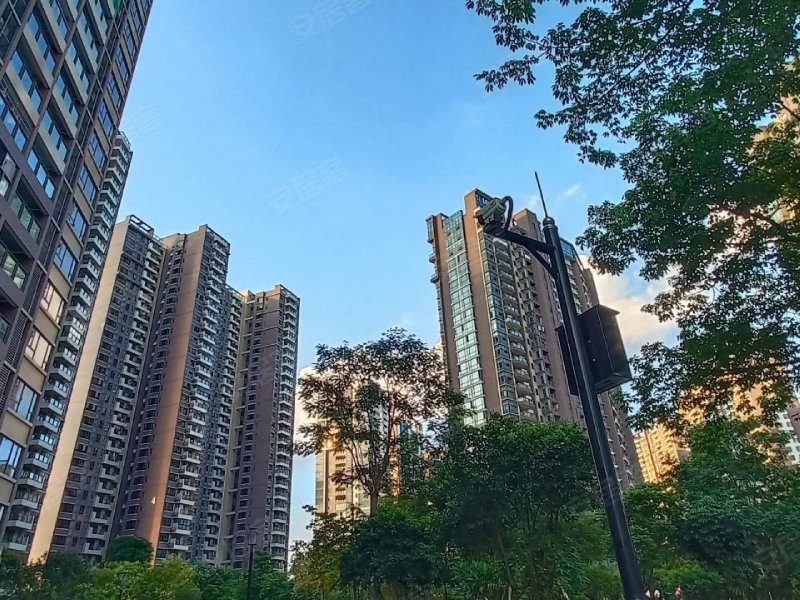 美的君兰江山,美的大道10号-佛山美的君兰江山二手房,租房,房价-佛山