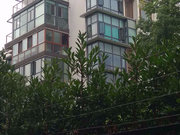 马群小区图片