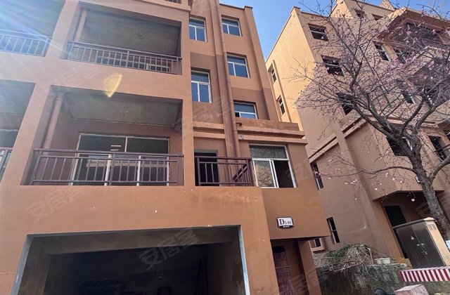 丽水湖畔5室2厅429.23㎡138万二手房图片