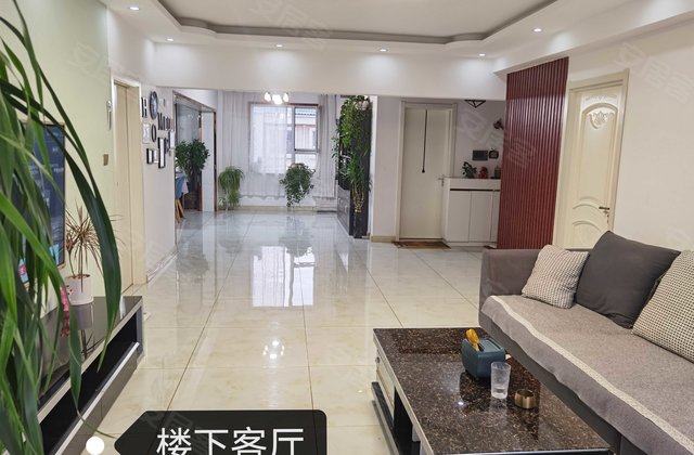 华园小区3室2厅203.7㎡49万二手房图片