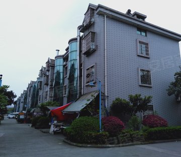 东和新区