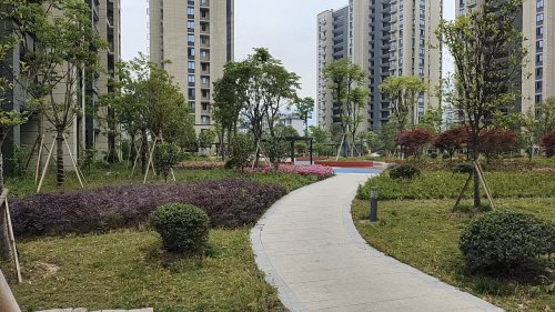 采荷文苑,成大街 - 丽水采荷文苑二手房,租房,房价-丽水安居客