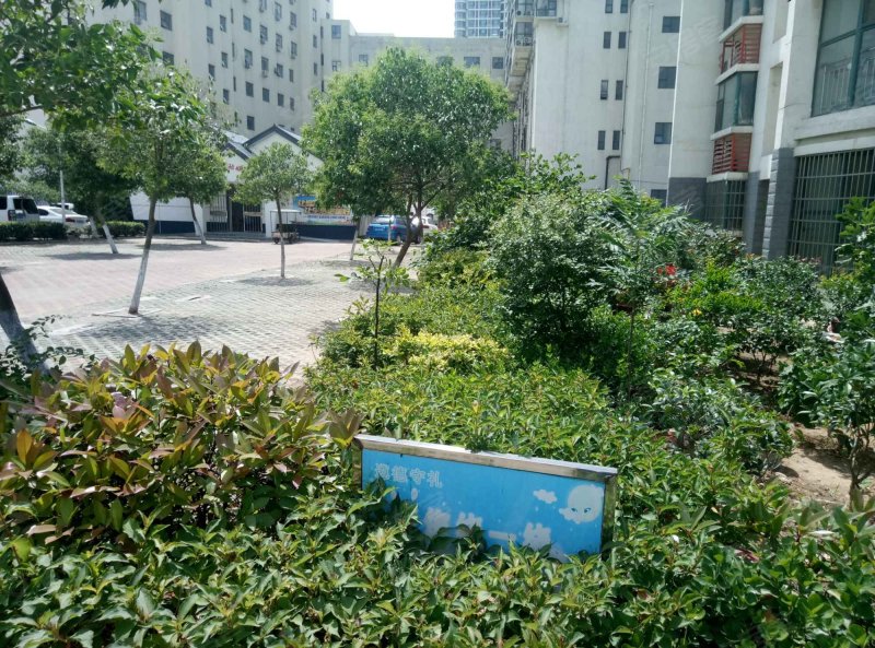 泰和花园(西区),涑河北街3-1号-临沂泰和花园(西区)二手房,租房,房价