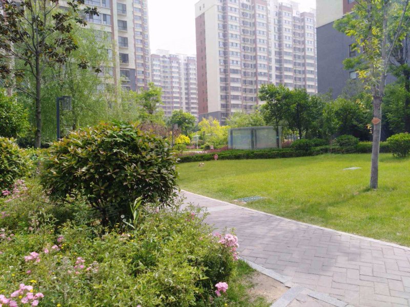 明德花园北区,明德路,近兴水路-临沂明德花园北区二手房,租房,房价