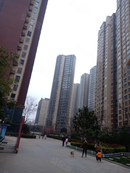 轩苑盛世二期b区,玉涧河东路,近新福路-宝鸡轩苑盛世二期b区二手房