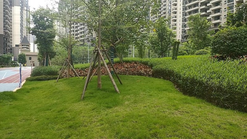 大都皓园,花坛路-南宁大都皓园二手房,租房,房价-南宁安居客