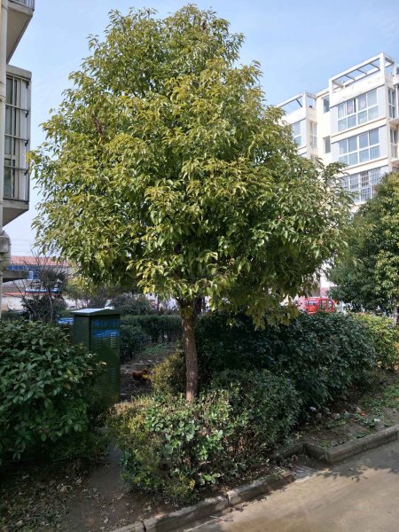 府东新苑,新欣路-宿迁府东新苑二手房,租房,房价-宿迁安居客