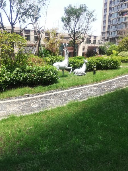 碧桂园翡翠桃源,岚山中路-日照碧桂园翡翠桃源二手房,租房,房价-日照