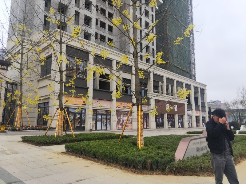 恒大中央广场(商住楼),合肥路-达州恒大中央广场(商住楼)二手房,租房