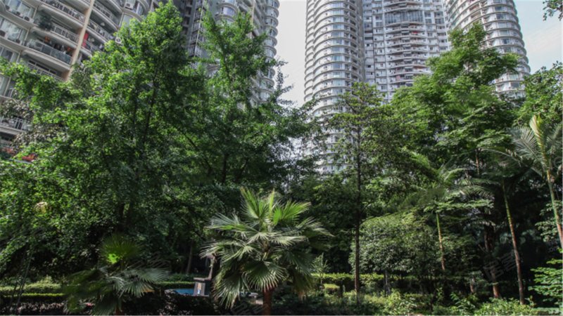 华宇金沙港湾(a区),华宇金沙港湾1号-重庆华宇金沙港湾(a区)二手房