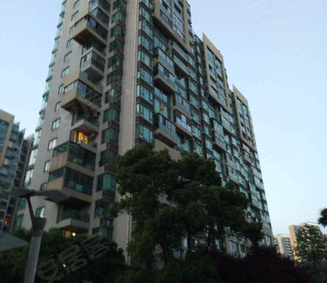 枫情水岸