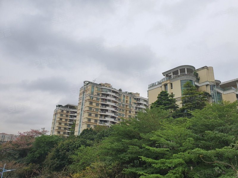 汇景新城棕榈园