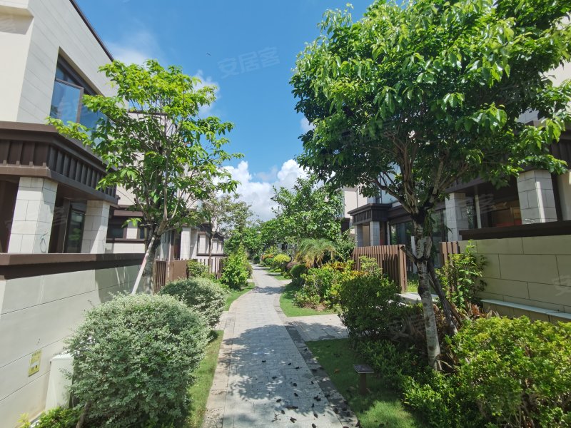 海棠湾8号温泉公馆,龙海路-三亚海棠湾8号温泉公馆二手房,租房,房价