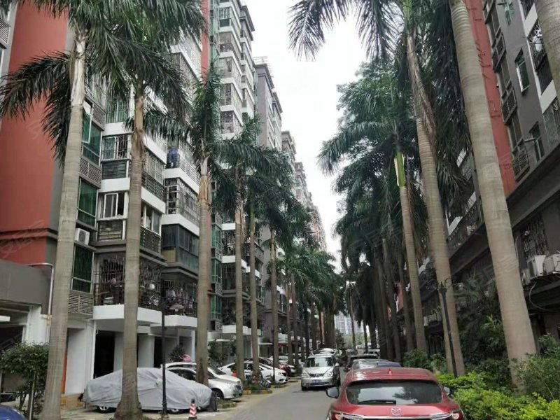 名仕春天,北环大道10147号-深圳名仕春天二手房,租房,房价-深圳安居客