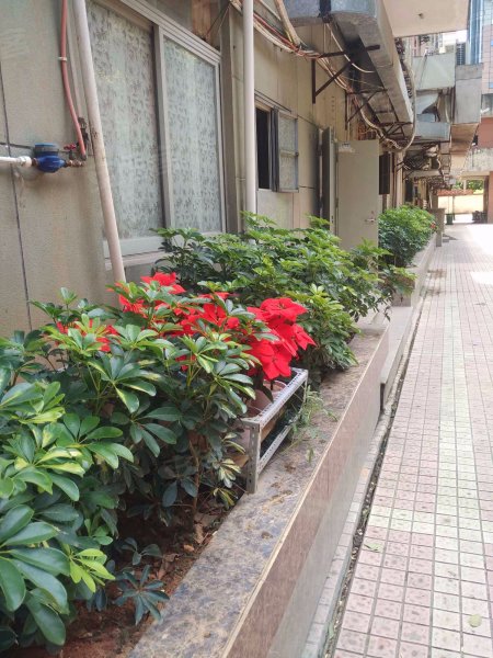 永盛大厦,古田支路18号-福州永盛大厦二手房,租房,房价-福州安居客