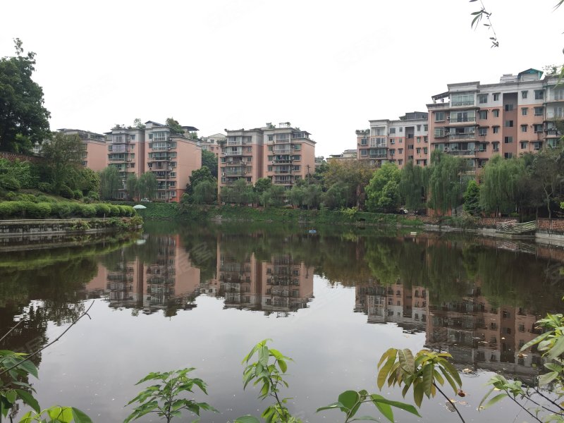 山水名苑,金鱼路95号-自贡山水名苑二手房,租房,房价-自贡安居客
