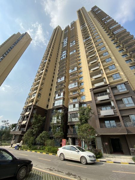 山河集团东湖雅苑,绿岛路-武汉山河集团东湖雅苑二手房,租房,房价