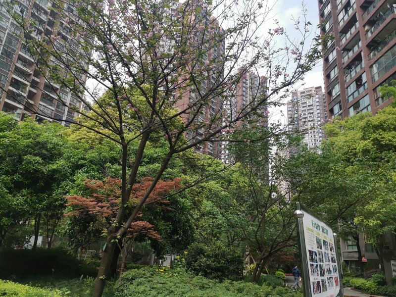 上品拾陆,兴盛大道33号-重庆上品拾陆二手房,租房,房价-重庆安居客