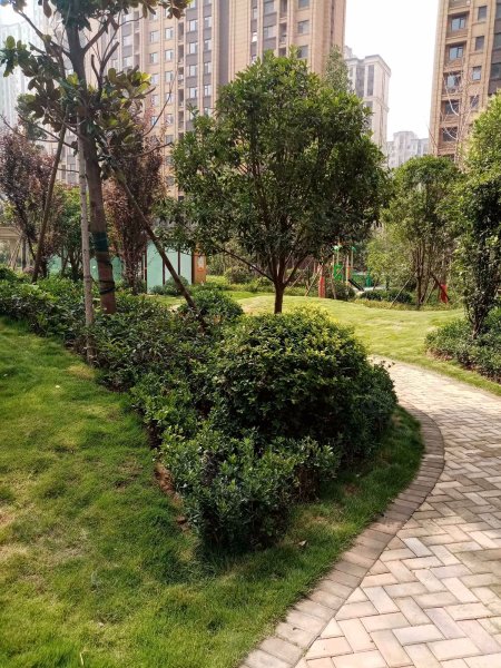 正和紫荆城(尚和园),永新路-郑州正和紫荆城(尚和园)二手房,租房,房价