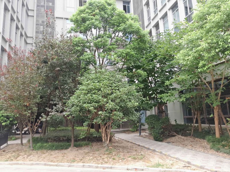 合景理想家(商住楼) 