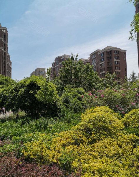 蓝山湾一期,文昌路26号-包头蓝山湾一期二手房,租房,房价-包头安居客